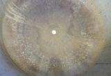 1000 liters tank i syrefast 316