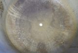 1000 liters tank i syrefast 316