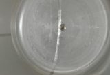 11800 liter tank i rustfritt stål 304