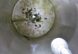 1200 liters tank i rustfritt stål 304
