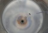 240 liters tank i rustfritt stål 304