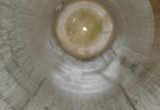 32000 liters tank i syrefast 316