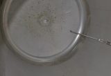 3500 liters tank i syrefast 316