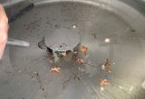 4000 liters tank i rustfritt stål 304