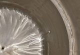 4000 liters tank i syrefast 316