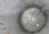 5400 liters tank i rustfritt stål 304