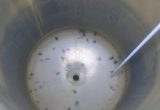600 liters tank i syrefast 316