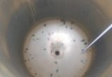 600 liters tank i syrefast 316