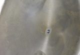 6800 liters tank i syrefast 316