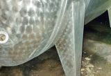 8840 liter tank i rustfritt stål 304